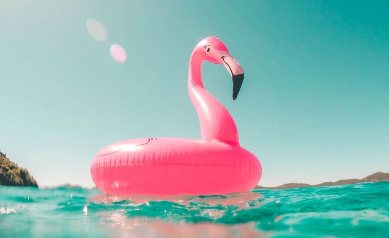 water with a flamingo float
