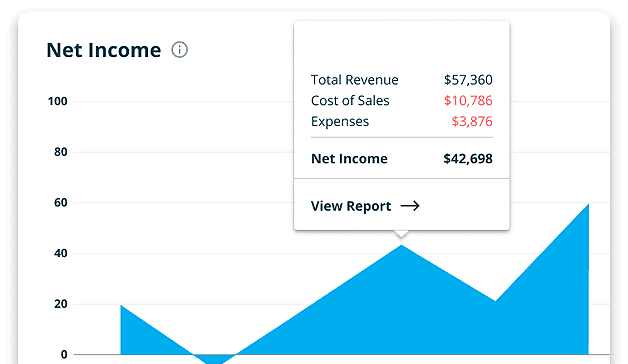 net income dashboard